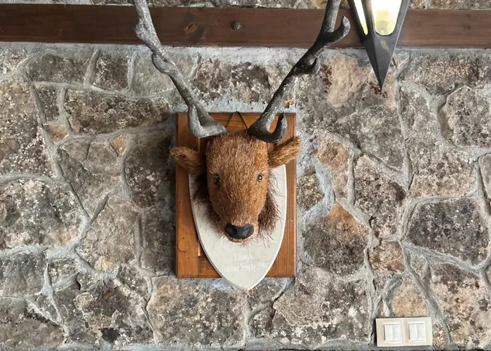 Гостевой дом в махала кочорите